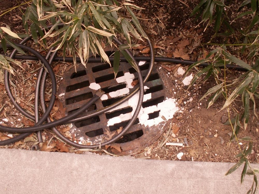 A hose draining into a stormdrain