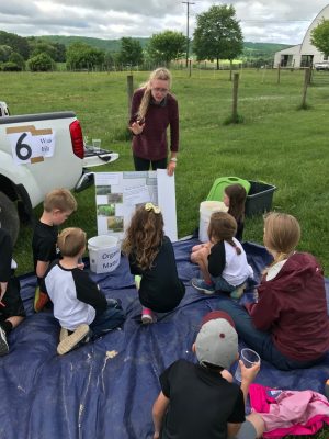 Explanation of Stormwater Bioretention