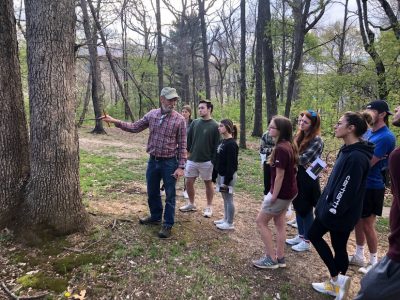 People standing in the woods looking at a tree