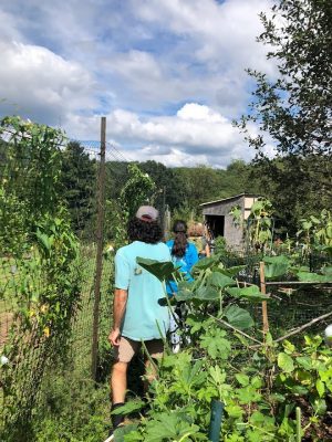 People walking through a garden with a fence on the left side