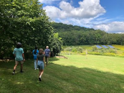 People walking through a field with trees on their left and solar panels in the distance on their right