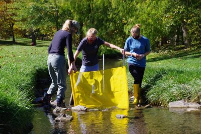 water team