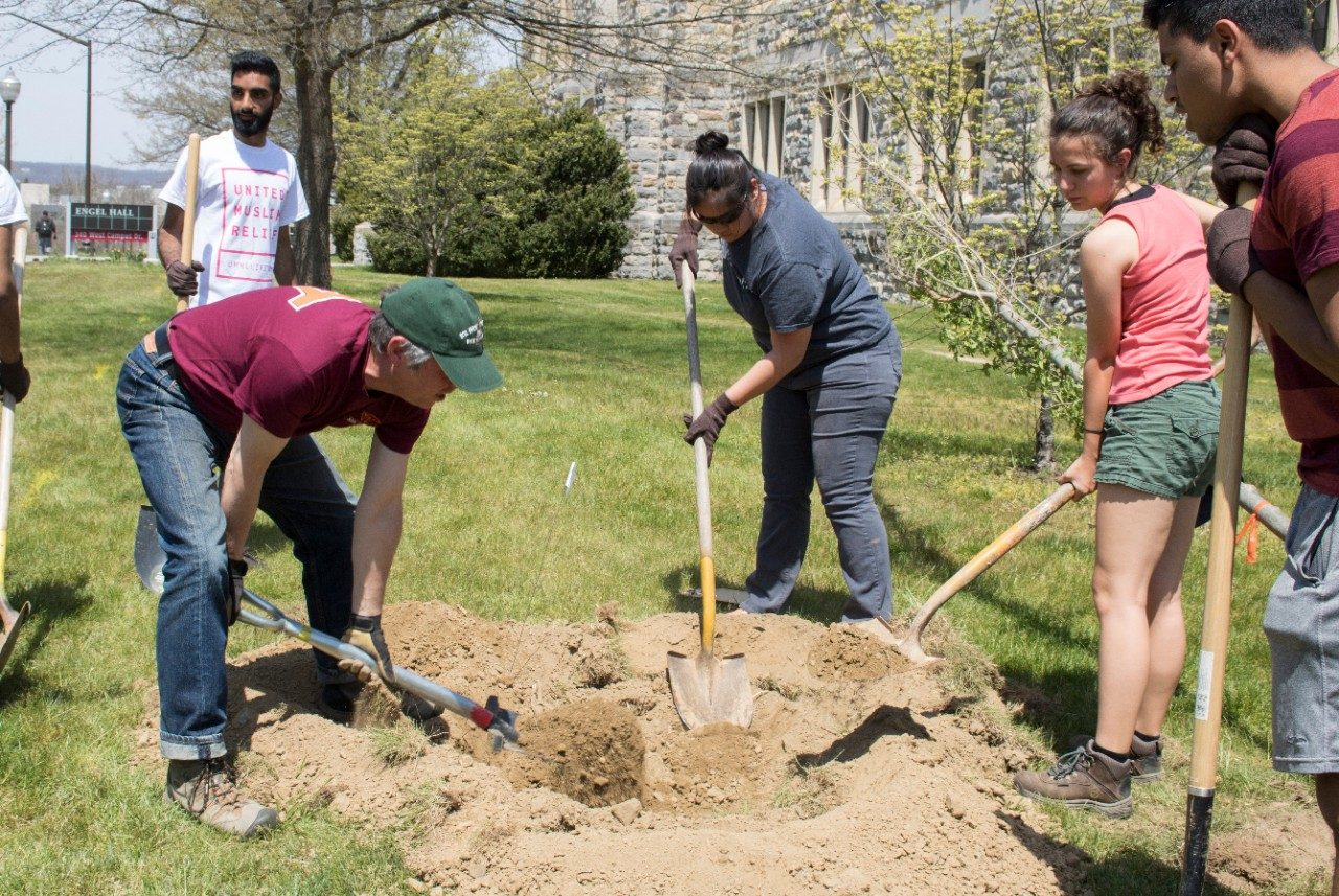 Employees and students work together to dig a hole for planting a new tree.