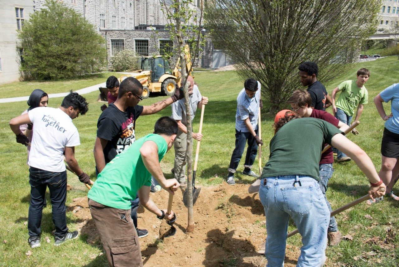 Students filling in a hole with a newly planted sapling.