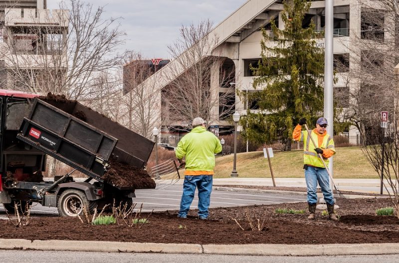 Photo of mulching efforts