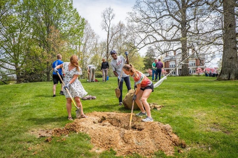 students planting new trees at the Grove. The two trees lost are in the background