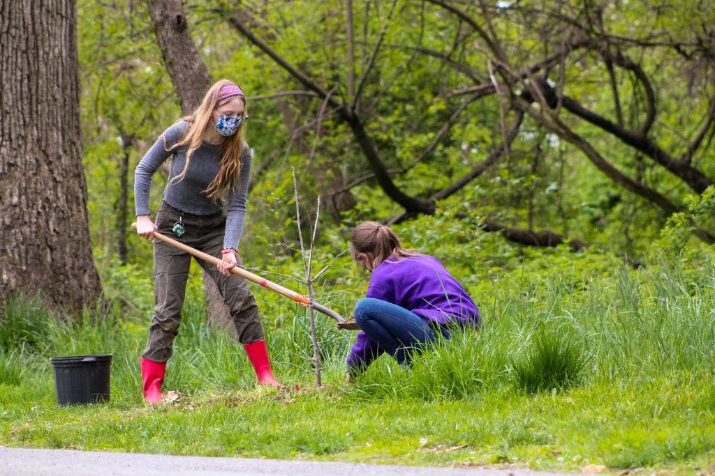Arbor Day Planting