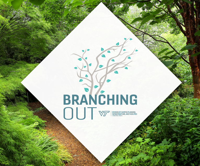 Branching out logo