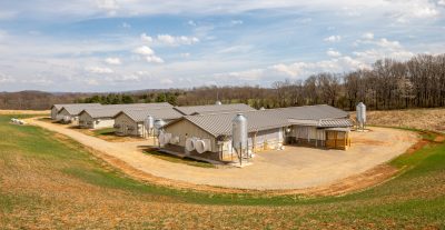 new swine buildings on a campus farm