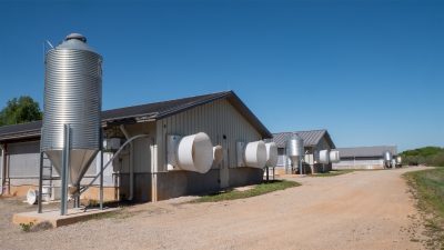 Swine facility on a sunny day
