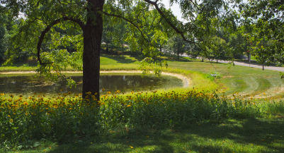 Campus buildings in the background with a stormwater pond, road, and street lamps in the foreground