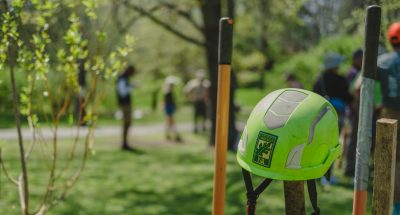 A green arborist helmet sits in the foreground with tree planting in the background