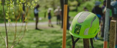 A green arborist helmet sits in the foreground with tree planting in the background