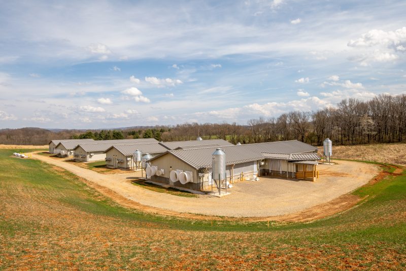 Kentland Farm