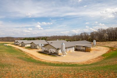 new swine buildings on a campus farm