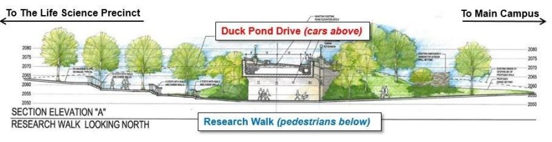 Research Walk Project