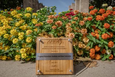 APPA award sitting on the sidewalk in front of flowers and the Pylons