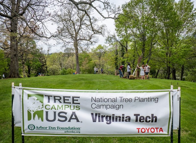 tree planting during earth week