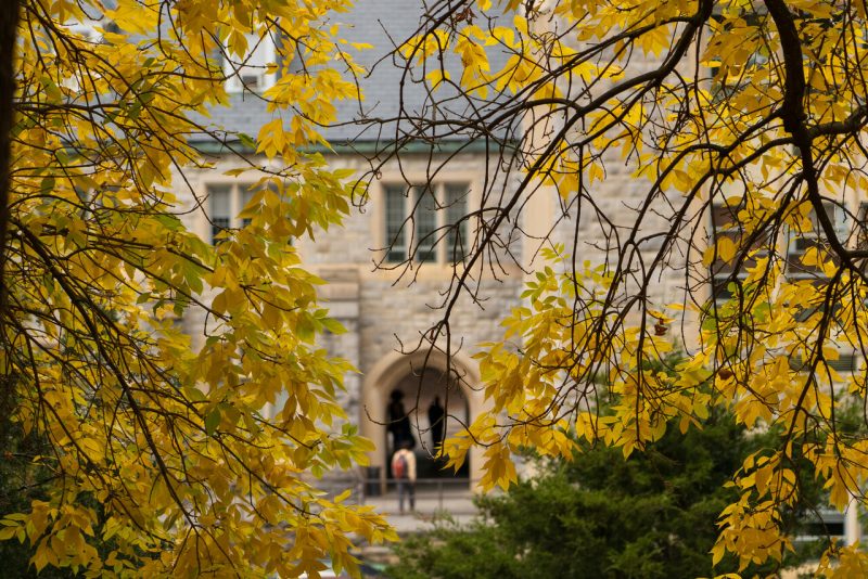Leaves change to yellow in front of a building on Virginia Tech's Blacksburg campus