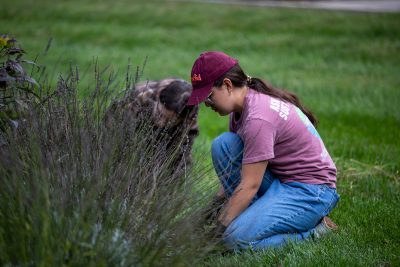 student planting flowers