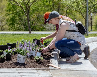 Two people help plant pollinator friendly plants during Bee Day 2024