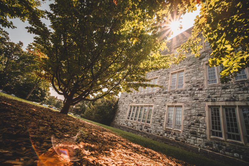Grey Hokie Stone Williams Hall with many windows in the background of green trees and brown mulch on a sunny summery day